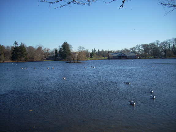 Buttonwood Park New Bedford, Ma. www.WhalingCity.net